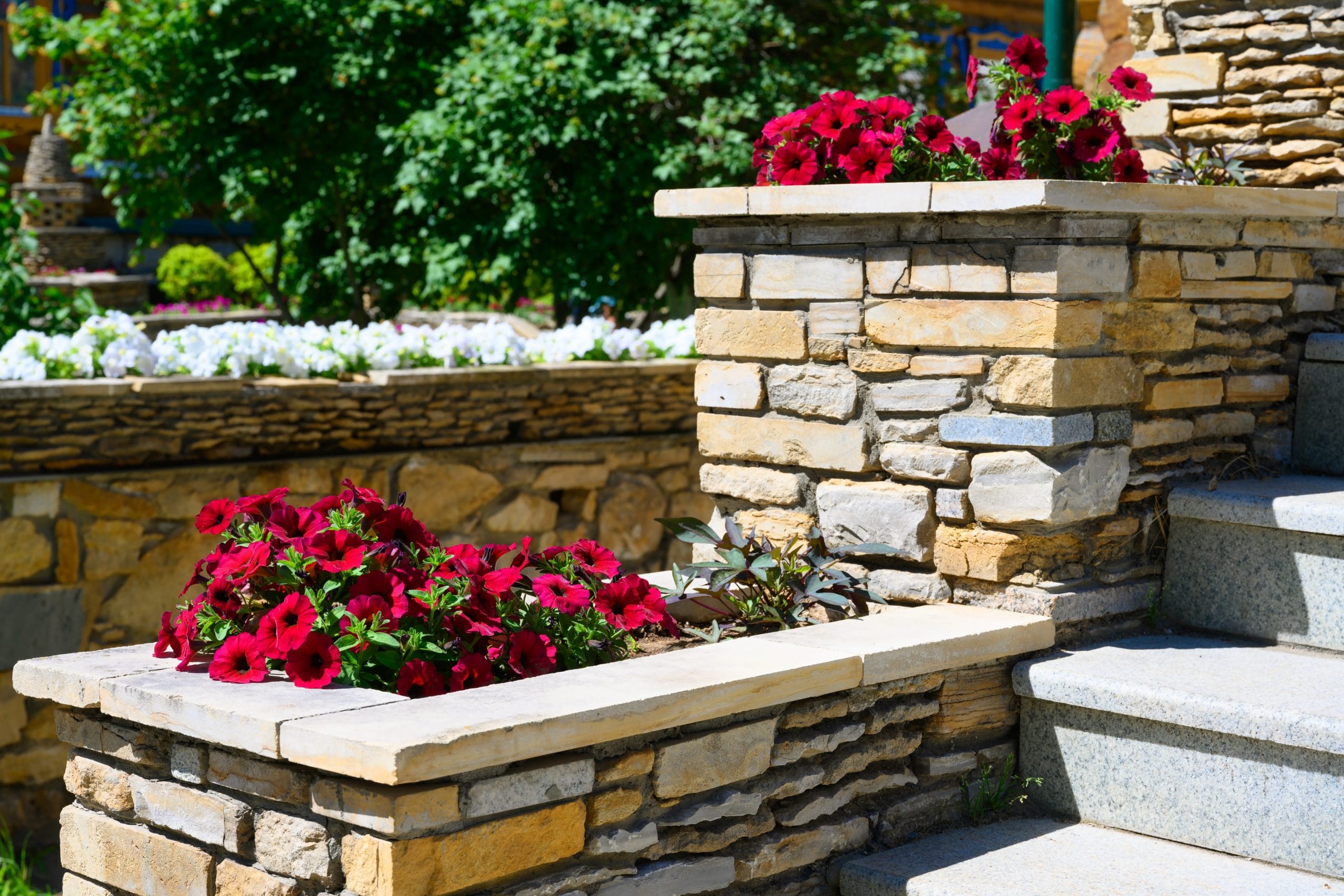 Landscaping,On,House,Stairway,With,Flowerbeds,,Home,Landscape,Design.,Upscale